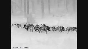 Охота на кабана и, или медведя в Нижегородской области