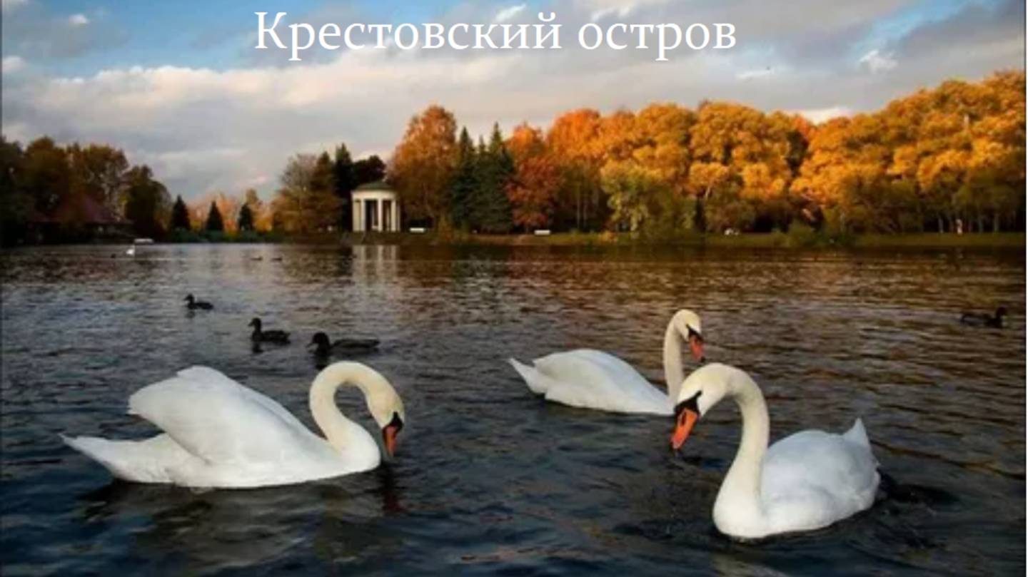 Крестовский остров в Петербурге смотреть онлайн