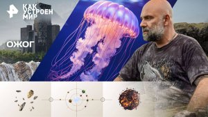 Ожог — Как устроен мир с Тимофеем Баженовым (18.09.2025)