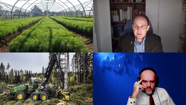 1593. Пыжёв А.И.: Русский лес, лесное хозяйство и будущее России смотреть онлайн