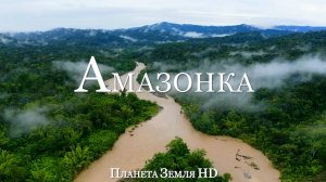 Амазонка HD - Живописный Фильм о дикой природе с успокаивающей Музыкой