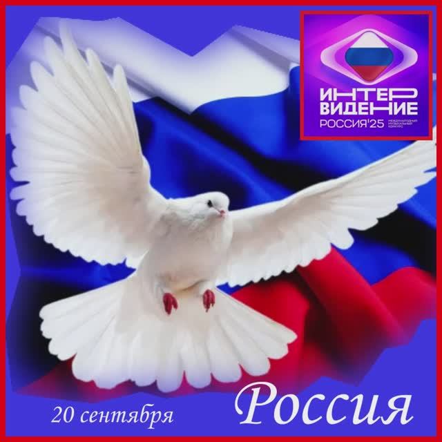 Сообщение от Ярослава... сегодня... смотреть онлайн