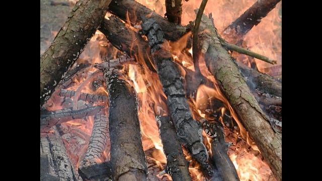 Арсений Тарковский "О, матерь Ахайя, пробудись!!!" смотреть онлайн