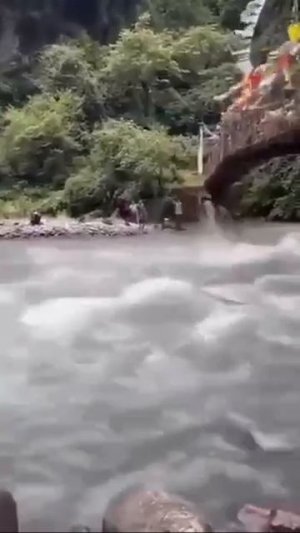 Хорошие друзья ))