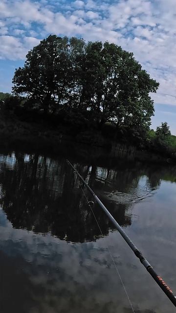 Не люблю тейлы, но иногда они работают