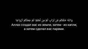 1424г. Сура Фатыр (Творец) 1-17 аяты. Мухаммад аль люхайдан.