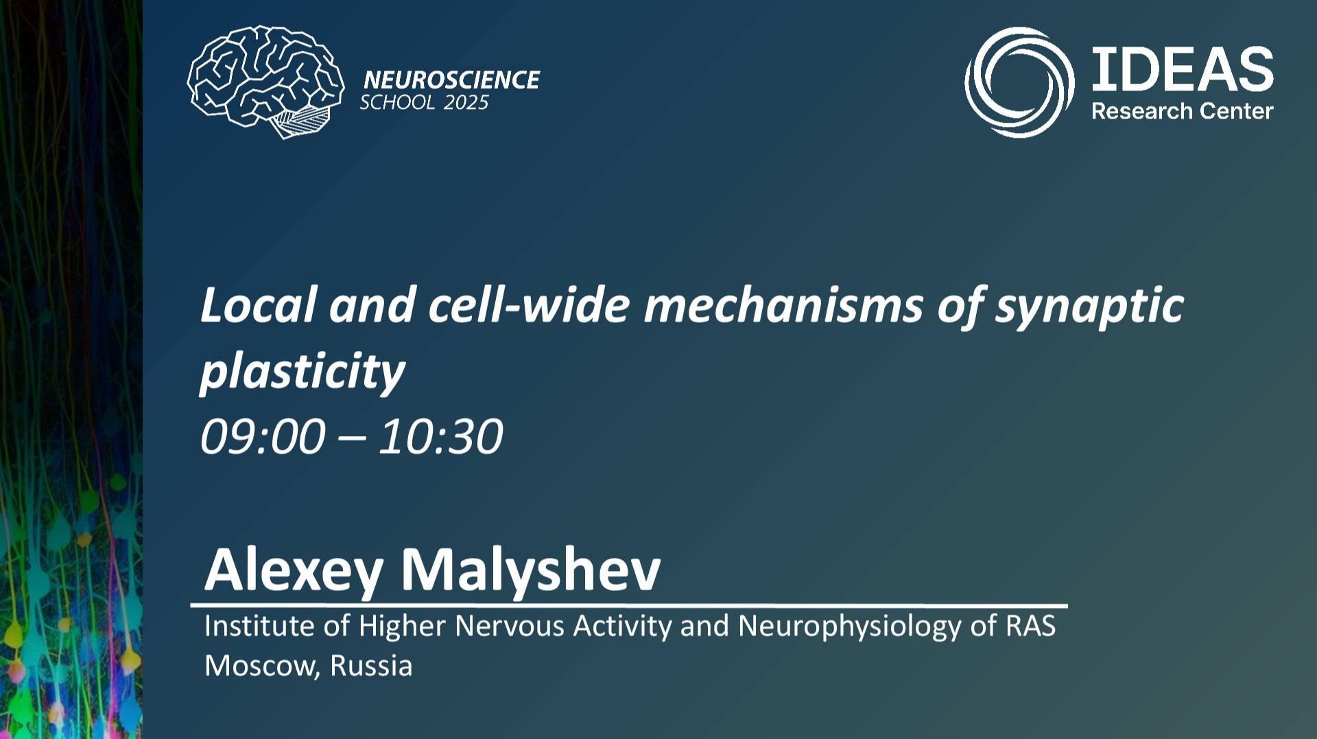 Local and cell-wide mechanisms of synaptic plasticity