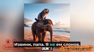 🌟 Приключения безумных котят! ❤️🔥 Забавная подборка с кошками!
