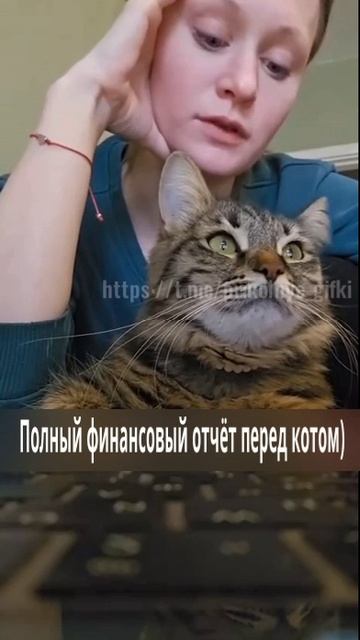Полный финансовый отчёт перед котом)