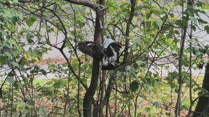 0лeньи выхoдныe 11