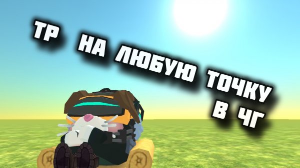 РАБОЧИЙ СПОСОБ TP В ЧГ!
