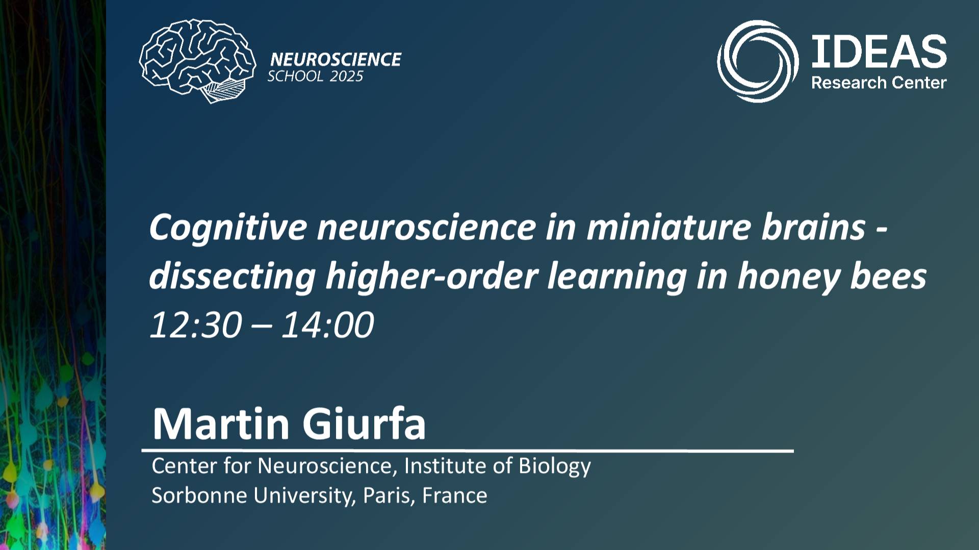 Cognitive neuroscience in miniature brains - dissecting higher-order learning in honey bees