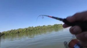 Рыбалка на реке Бия