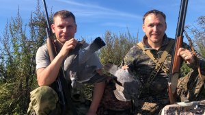 Охота на вяхиря!