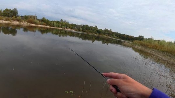 КЛЮЁТ НА КАЖДОМ ЗАБРОСЕ. МОРМЫШИНГ.ШЕСТЬ ВИДОВ РЫБЫ ! ПОЙМАЛИ ВСЕХ ЖИВЦОВ. 4К
