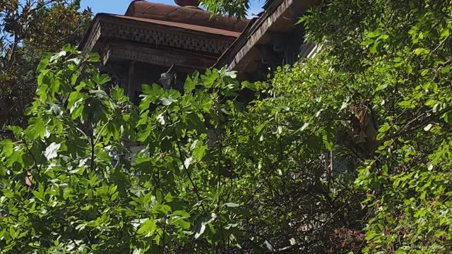 Дача Воронкова в Ялте, улица Кирова смотреть онлайн