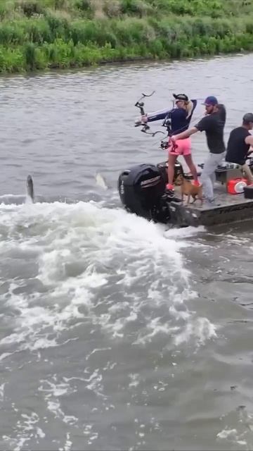 С одной стороны выглядит так себе, а с другой еще попасть нужно🏹Как относитесь к таким видам рыба