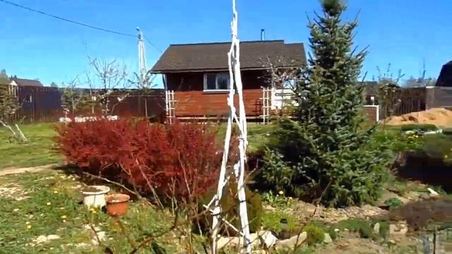 Пергола своими руками. (2020 г.)