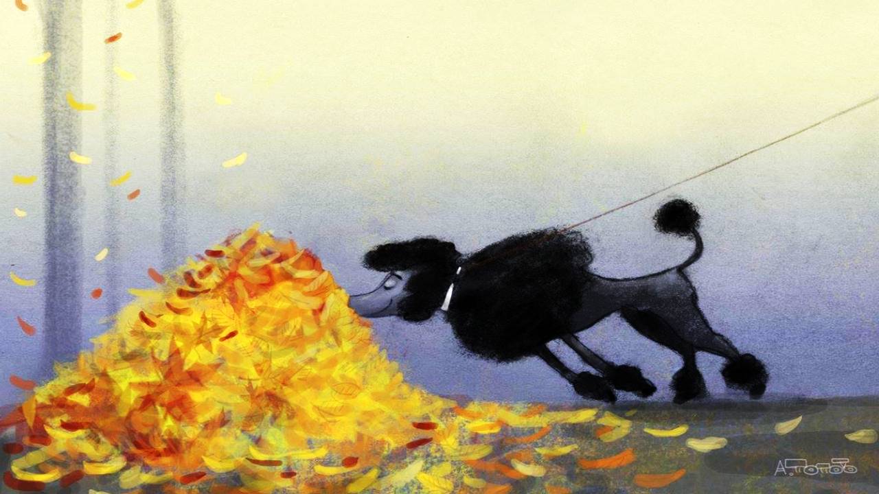 Осенние карикатуры художника Андрея Попова смотреть онлайн