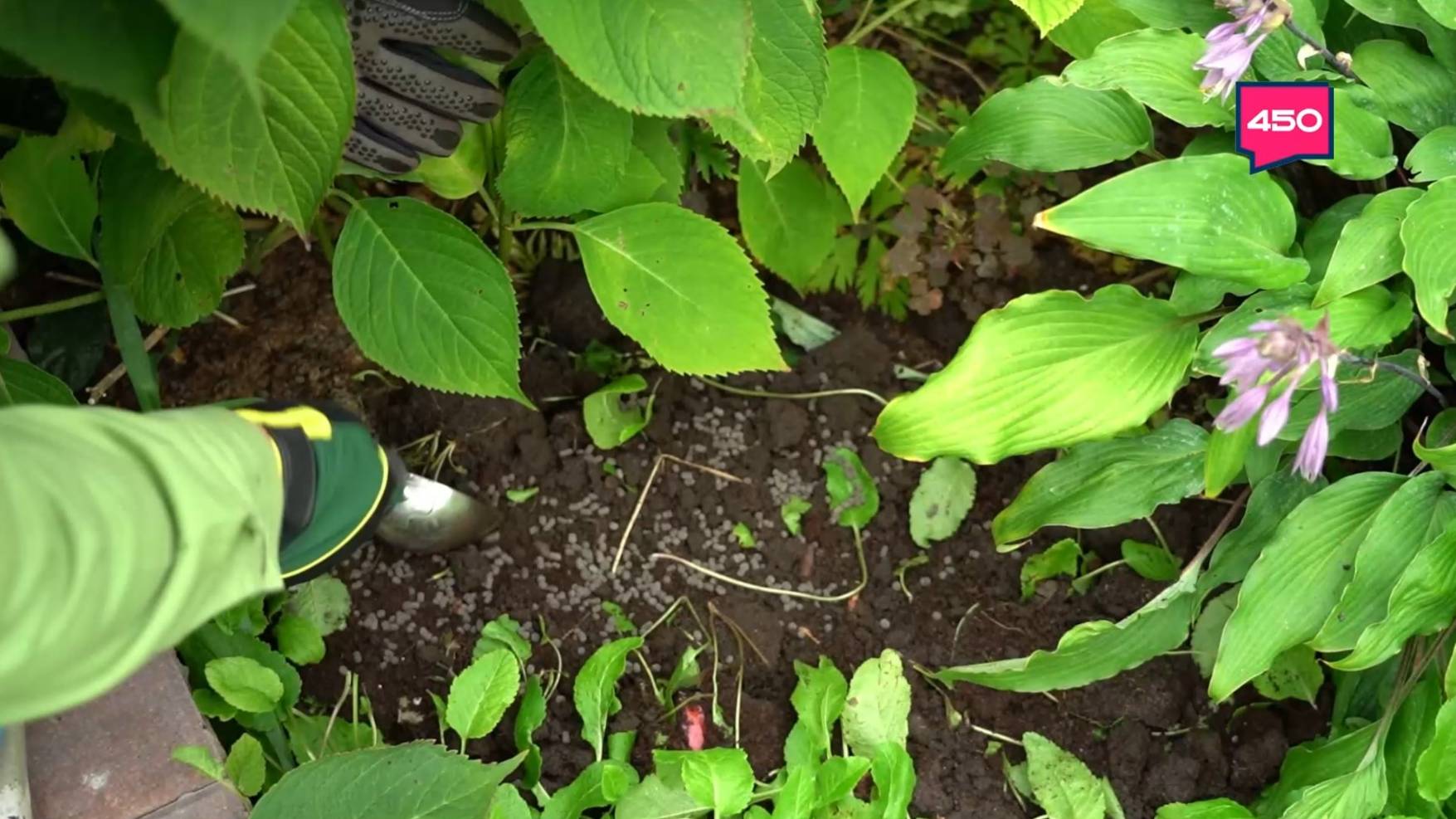 Делаем осенние подкормки. Дачные сезоны