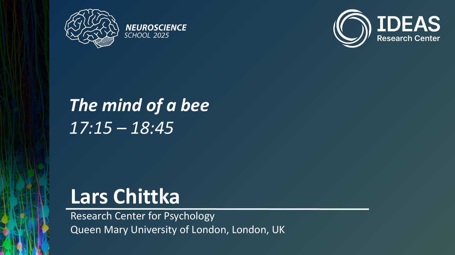 The mind of a bee