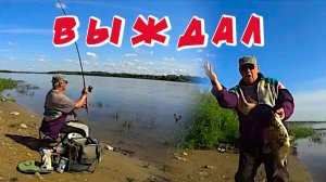 Жду поклевку леща. Рыбалка на Оке