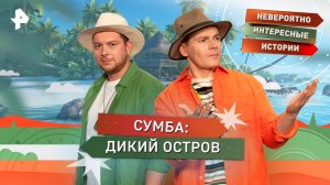 Сумба: дикий остров — Невероятно интерeсные истории (18.09.2025)