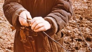 Обрезка плодовых растений, фильм 1980-х.