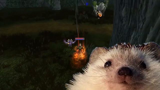 БУДНИЕ ДНИ В R2 RISE — DMK RISE