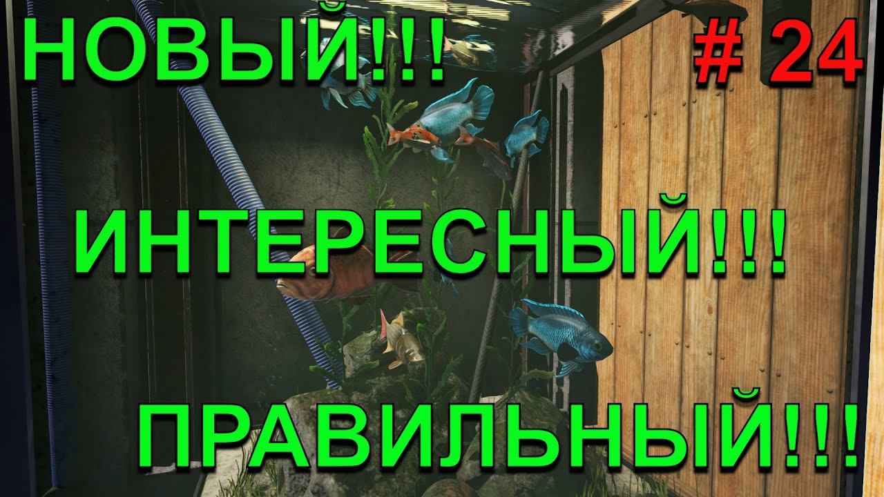 НОВЫЙ! ПРАВИЛЬНЫЙ! ИНТЕРЕСНЫЙ! ICARUS!!!