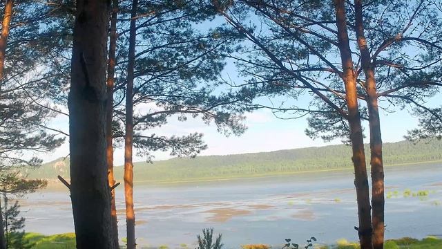 страна Кокуйка 2025