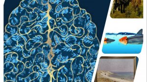 Максим Щербинин "Что нужно знать о мозге, чтобы управлять собой"