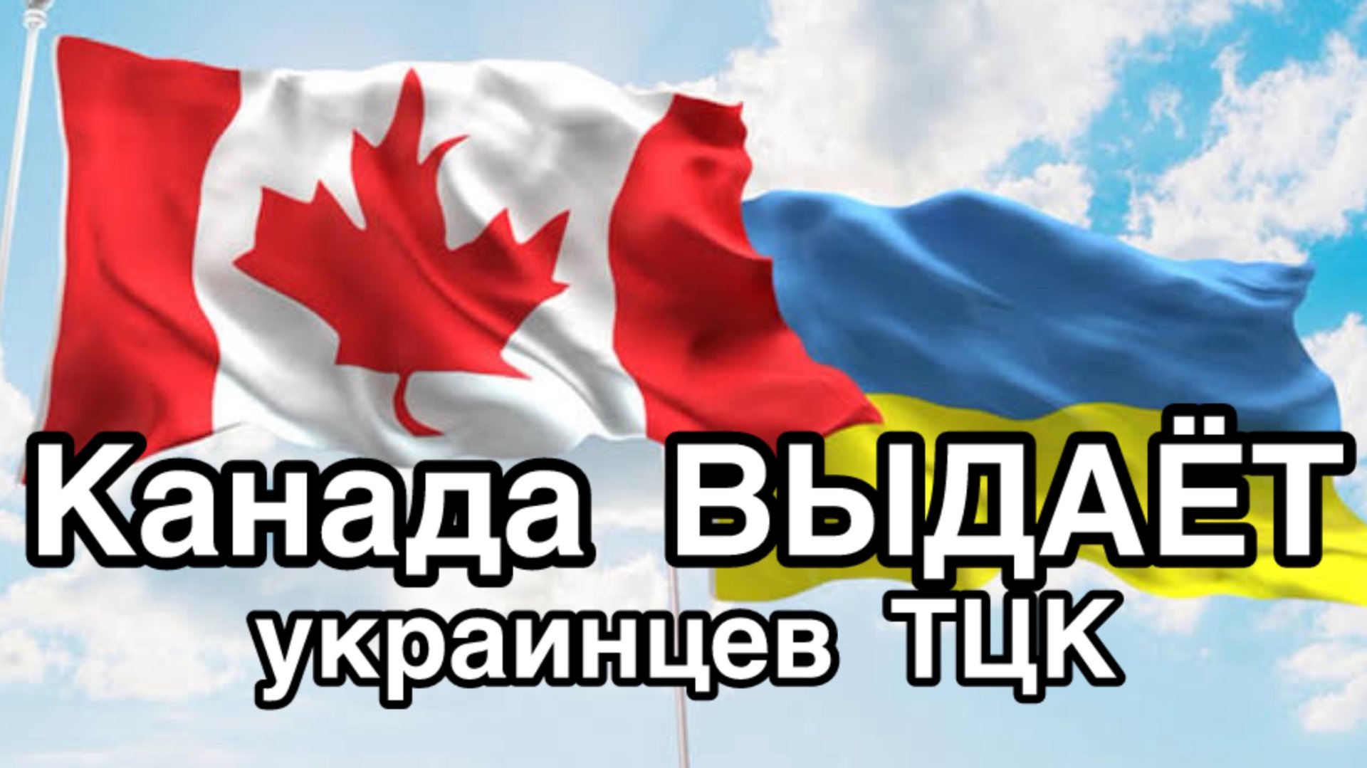 Канада начала требовать от украинцев регистрации в ТЦК. Новое мясо для Зеленского