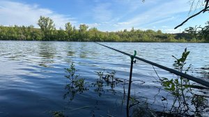 Ловля плотвы и поимка крупного карася на поплавок. Рыбалка на реке 2025