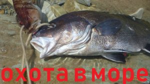 Подводная охота в Черном море.