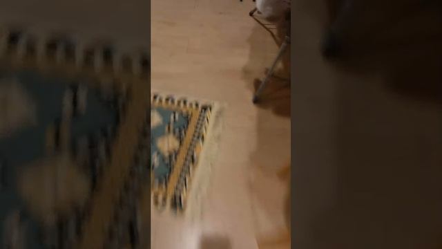 кишка намбер тю