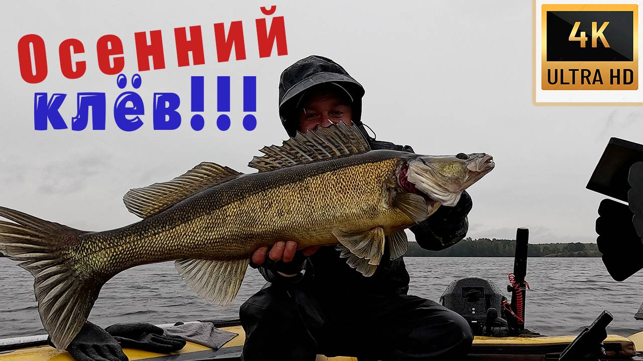 ЗАЧЕМ ЩУКА, ЕСЛИ ЕСТЬ ТАКИЕ СУДАКИ!!! НАСТОЯЩИЙ ОСЕННИЙ КЛЁВ!!! смотреть онлайн