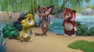 ТIрауи Лауи | 21 ахъвы | Нашана гвымха