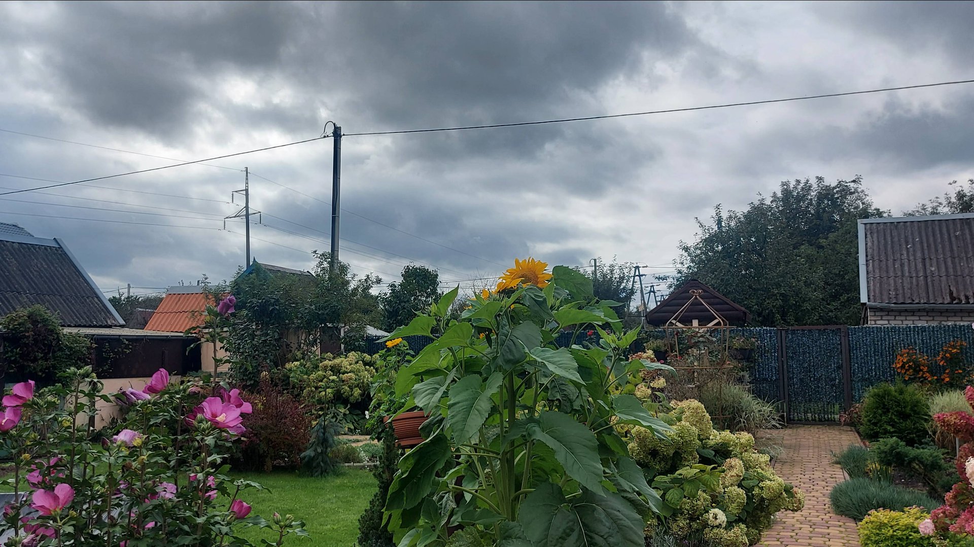 Уж небо осенью дышало....🍁☂ #любимаядача смотреть онлайн