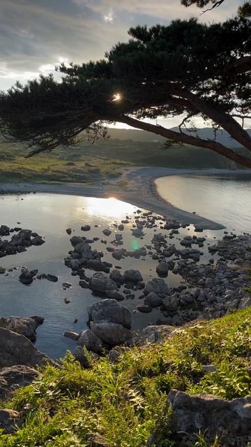 Бухта Орлинка

📍Приморский край