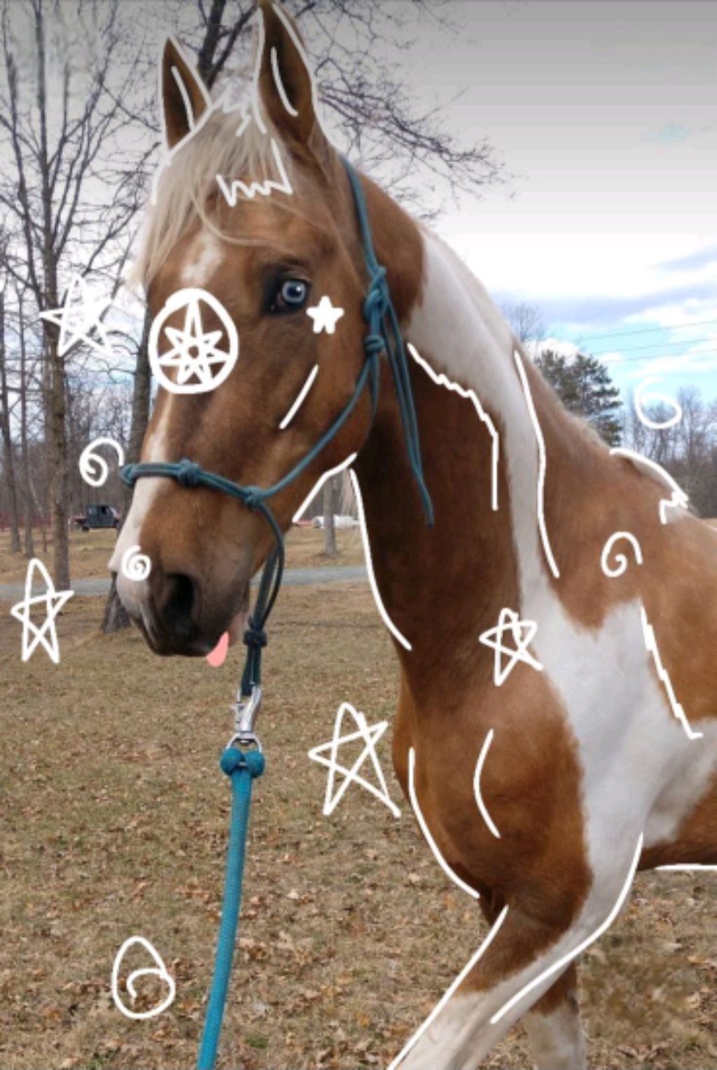 лошади шляйх смотреть онлайн