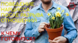 Как расстаются нарциссы? Что точно будет делать нарцисс после расставания? К чему готовится?