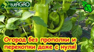 О ПРОПОЛКЕ и ПЕРЕКОПКЕ ЗАБУДЬТЕ! Ни одного сорняка в огороде! Даже огород с нуля - это легко.
