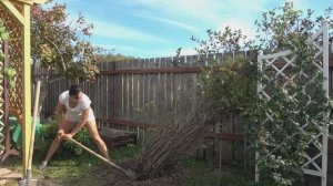 6 соток 14 сентября 2025 года. 1 часть.