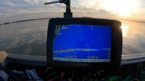 Panoptix поймал судака не с первого заброса