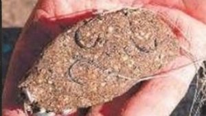 как сделать прикормку для сазана