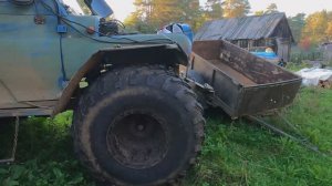 В лес за млечными грибами. Разбудил "Дракона"