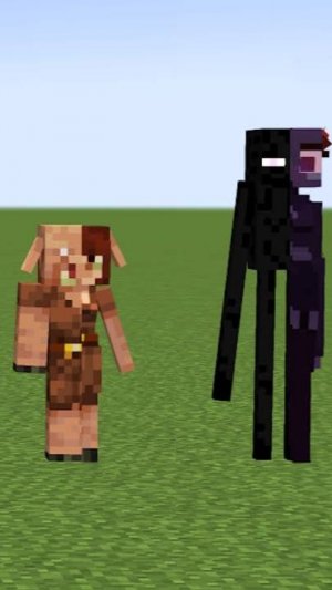 Как МОБЫ ПРЕВРАЩАЮТСЯ в ДРУГИХ МОБОВ в Майнкрафте?