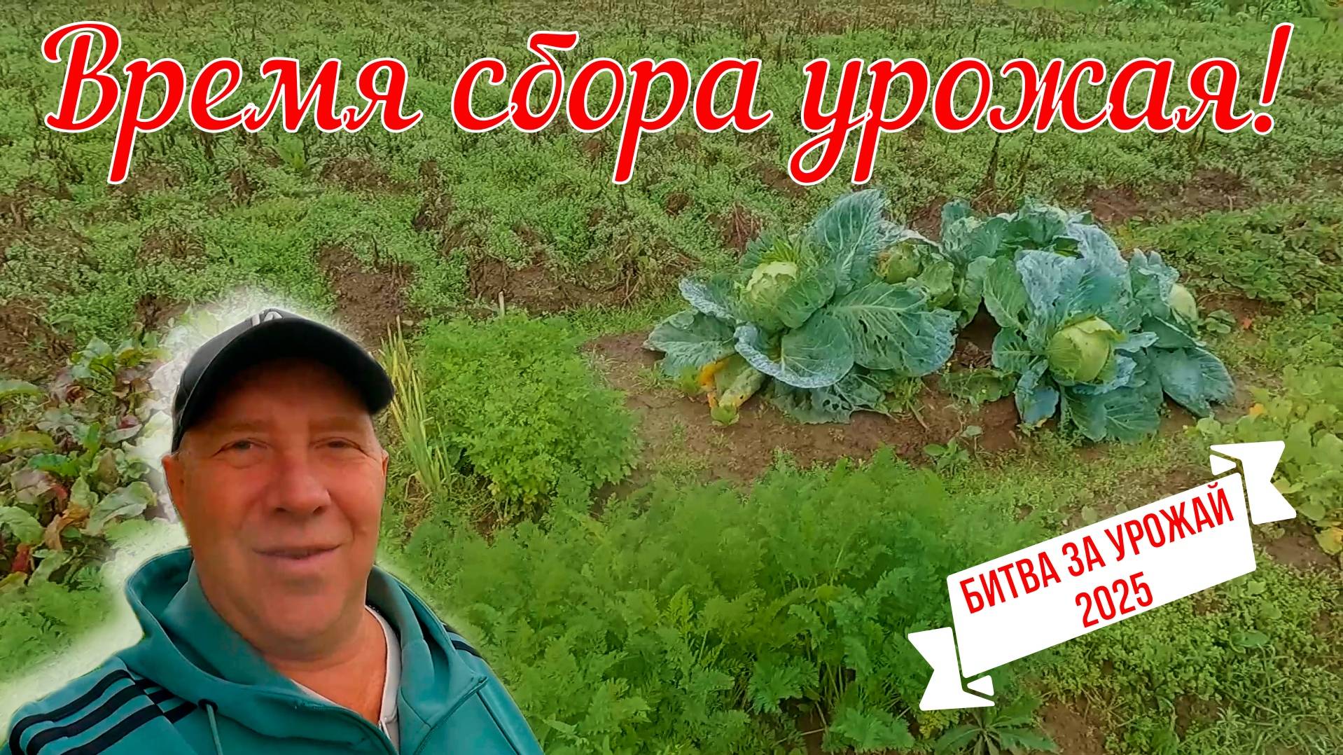 Генеральная "ревизия" огорода, перед уборкой Урожая! Вернулись из Сочи. Битва за урожай. Серия 11.