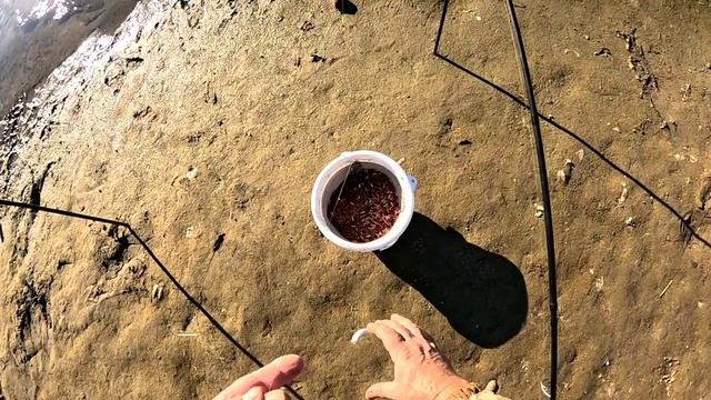 Кубань рыбалка в районе речного порта. смотреть онлайн